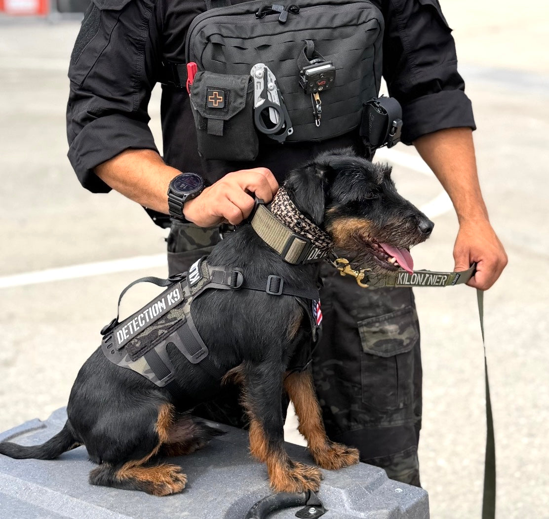 K9R - D5 MOLLE Light Harness