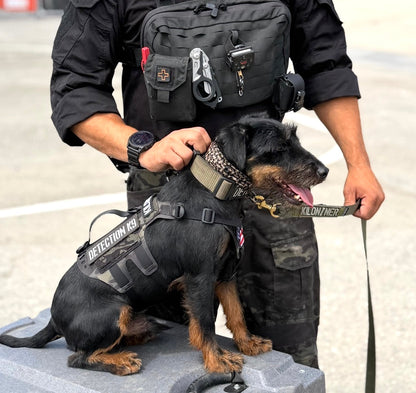 K9R - D5 MOLLE Light Harness