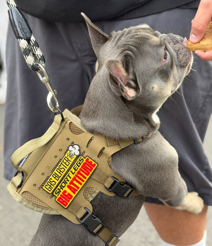 Short Legs Big Attitude Morale Patch