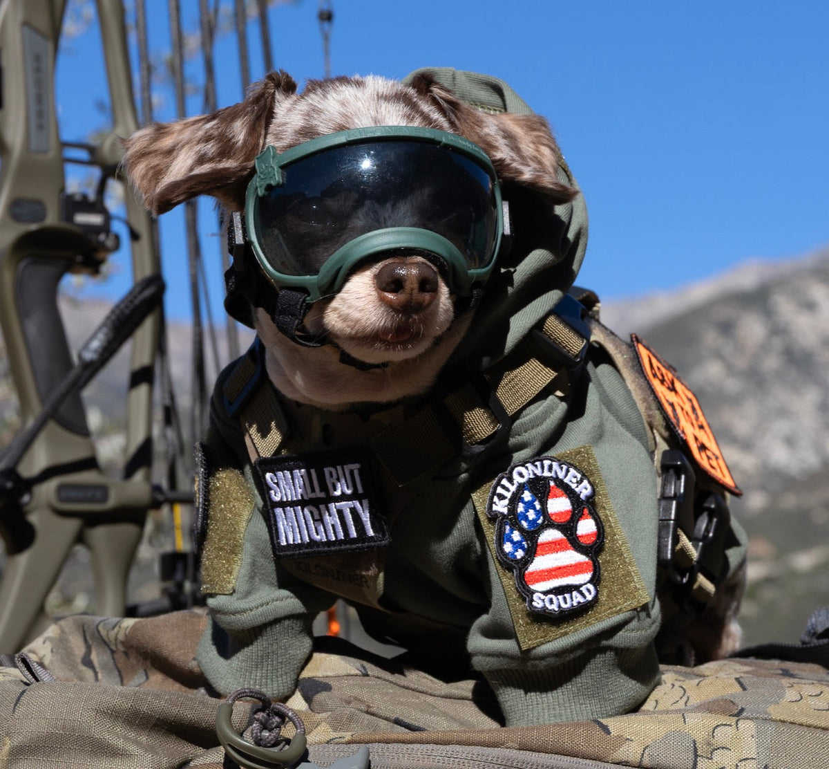 Kiloniner Paw Squad Morale Patch