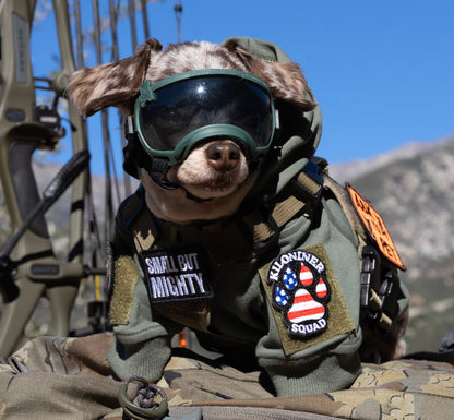 Kiloniner Paw Squad Morale Patch