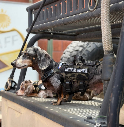 Tactical Wiener Morale Patch