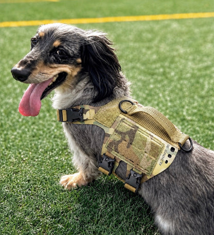 K9R - D5 MOLLE Light Harness