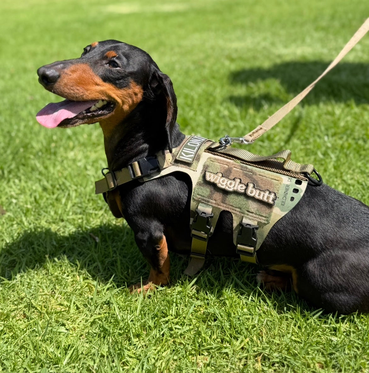 K9R - D5 MOLLE Light Harness