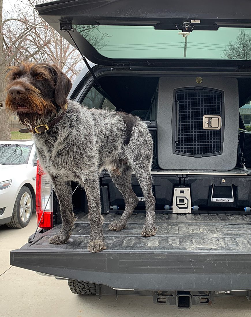 Dakota G3 X-Large Framed Kennel