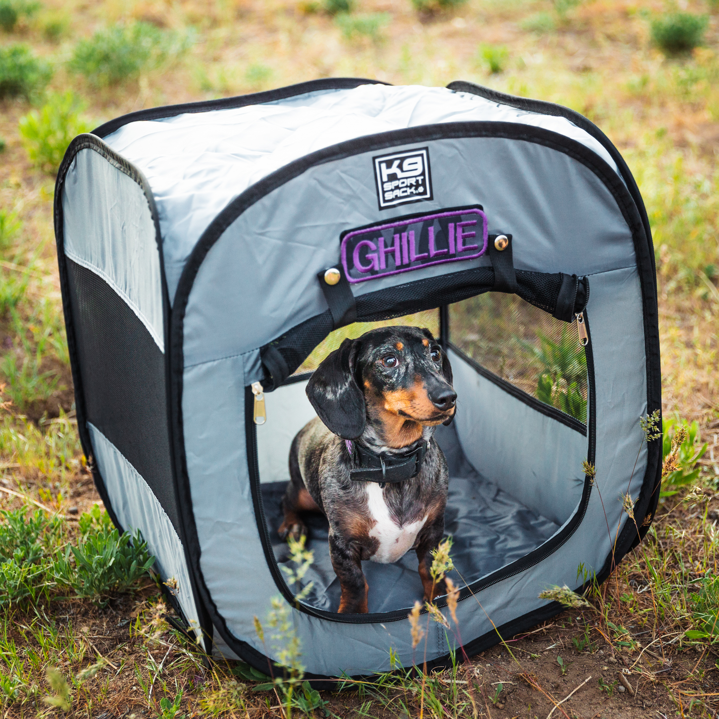 K9 Sport Sack K9 Kennel Pop-Up Dog Tent