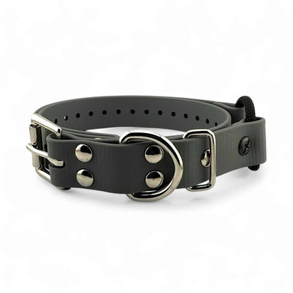 E-Collar Technologies 1" Bungee Collar Strap (33" Length)