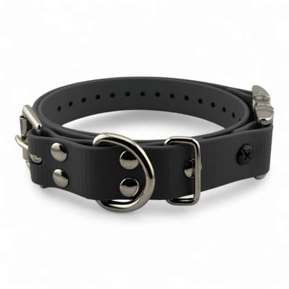 E-Collar Technologies 1" Quick Snap Biothane Collar Strap