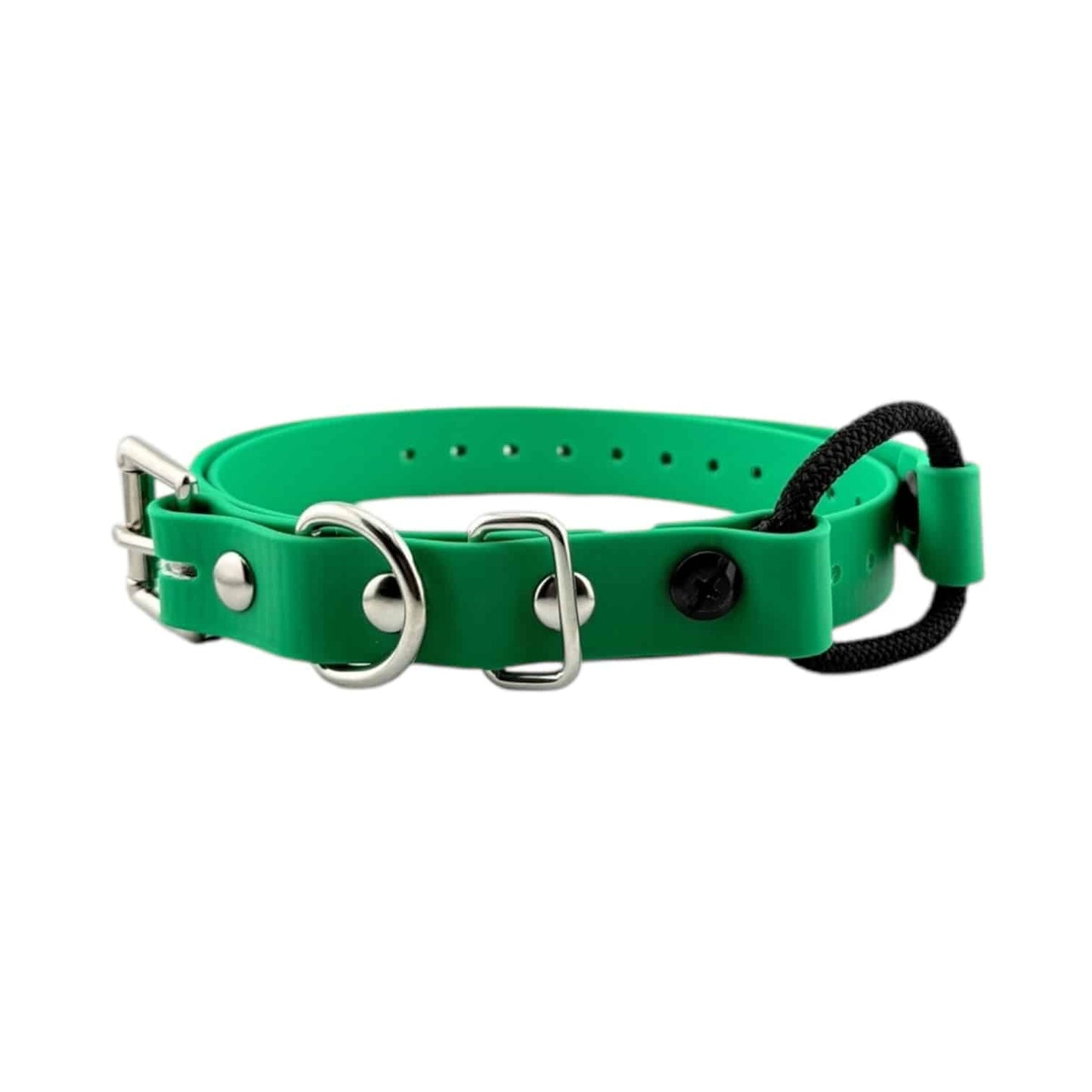 E-Collar Technologies 3/4" Bungee Collar Strap (33" Length)