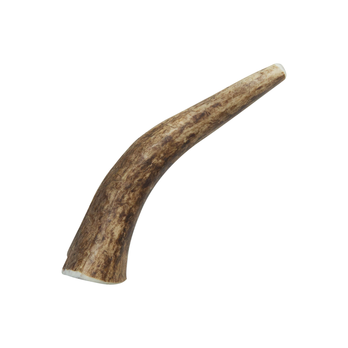 Natural Elk Antlers - Whole