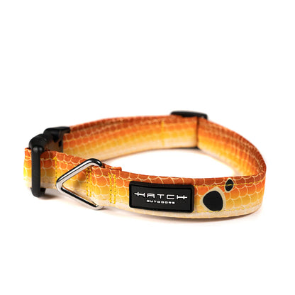 Hatch Outdoors Redfish Dog Collar