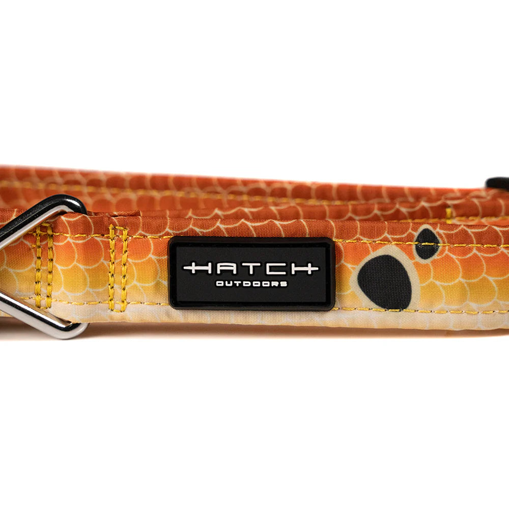 Hatch Outdoors Redfish Dog Collar