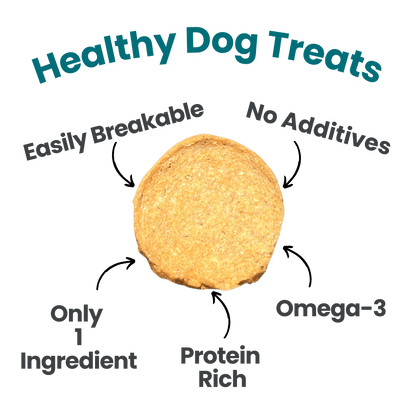 Fish Chips for Dogs | Wild-Caught Fish Dog Treats