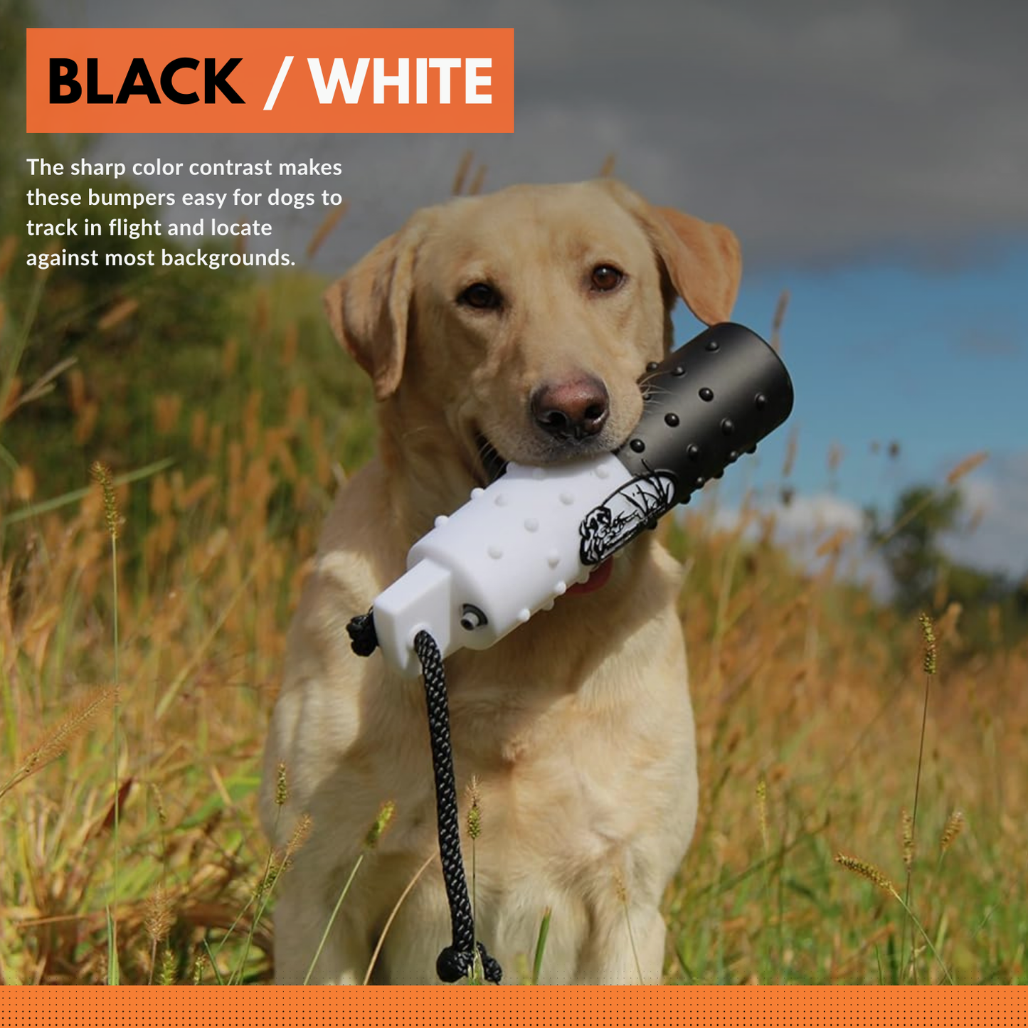 HuntEmUp Standard 2-Inch Black and White Flasher Dog Training Bumpers with Throw Rope and Air Valve – 6 Pack