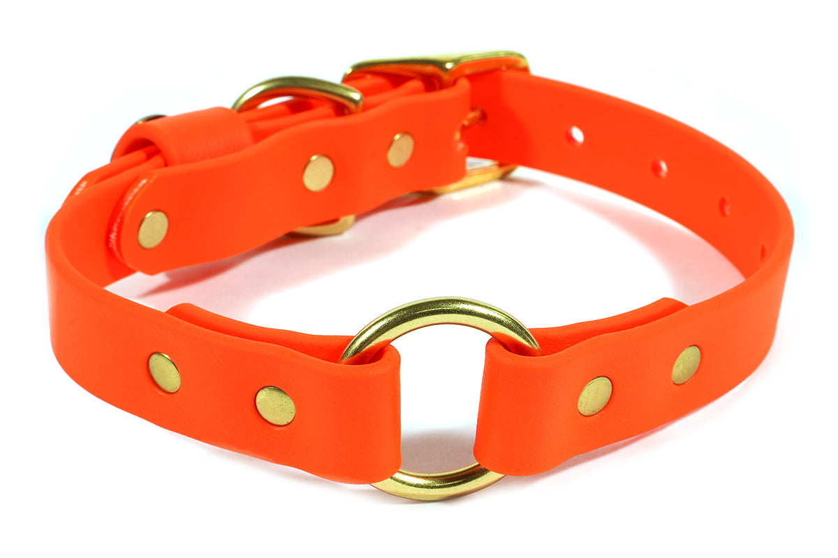 Pointer Traditions Hunting Dog Center Ring Collar - Blaze Orange