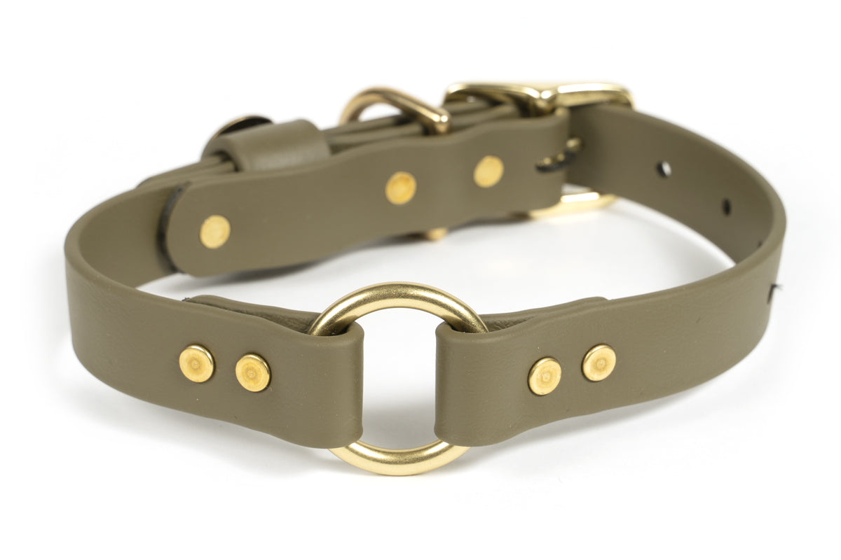 Pointer Traditions Hunting Dog Center Ring Collar - Ranger Green