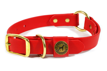 Pointer Traditions Hunting Dog Center Ring Collar - Red