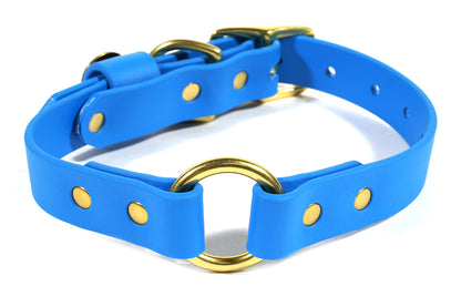 Pointer Traditions Hunting Dog Center Ring Collar - Sky Blue