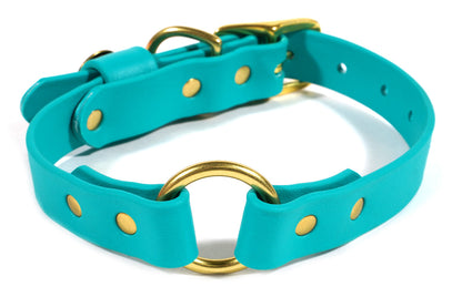 Pointer Traditions Hunting Dog Center Ring Collar - Teal