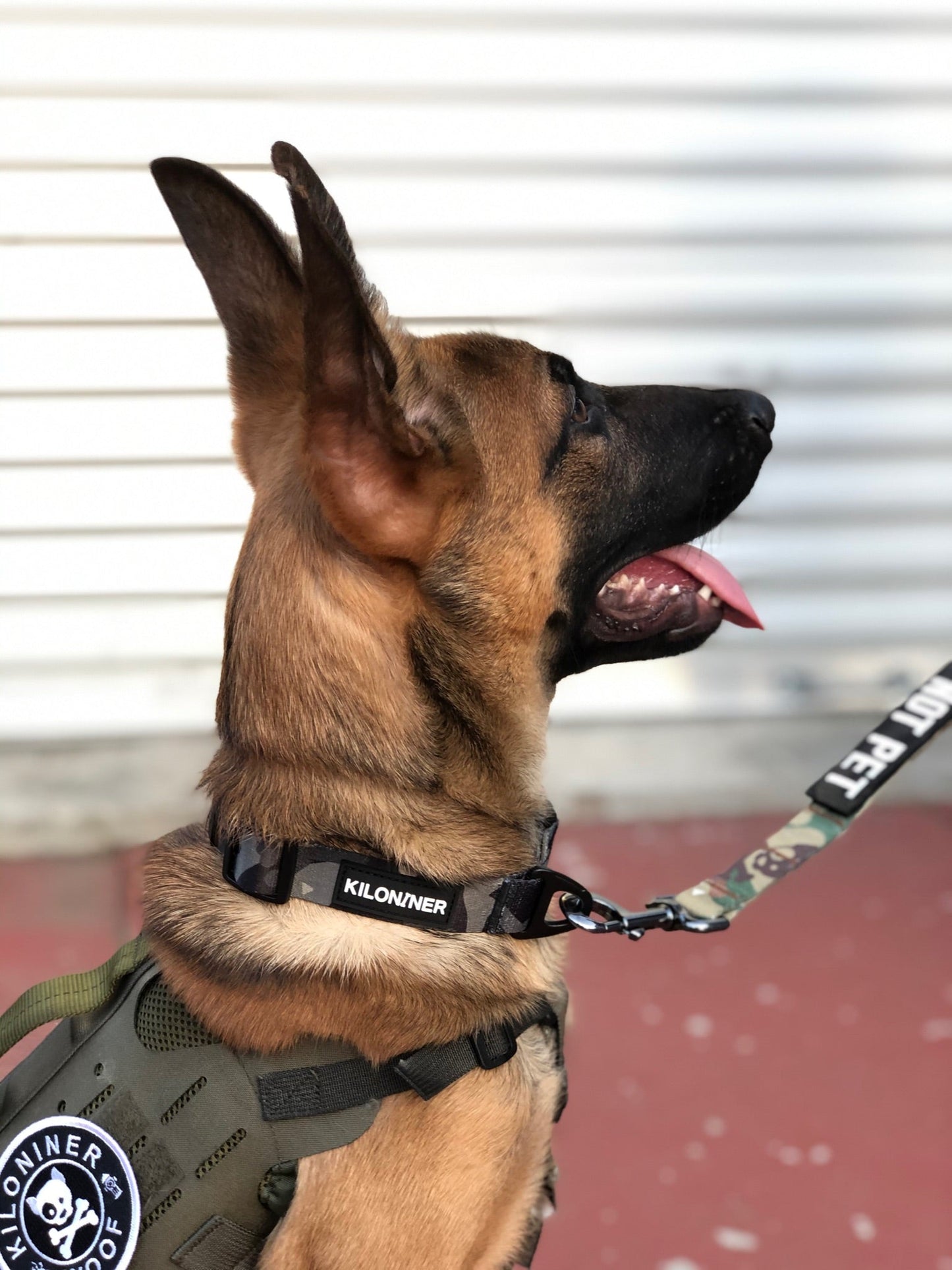 Kiloniner Strike Collar