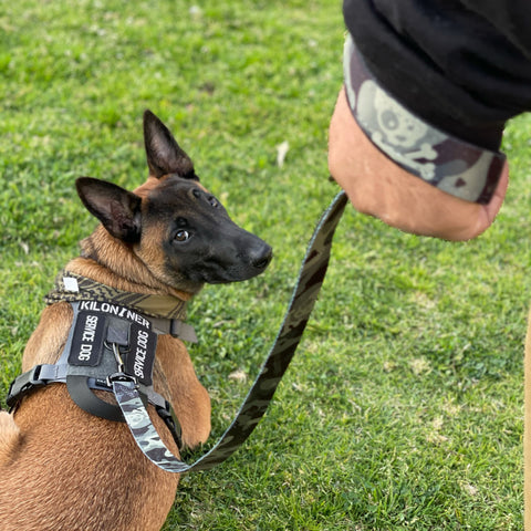 Kiloniner Strike Leash