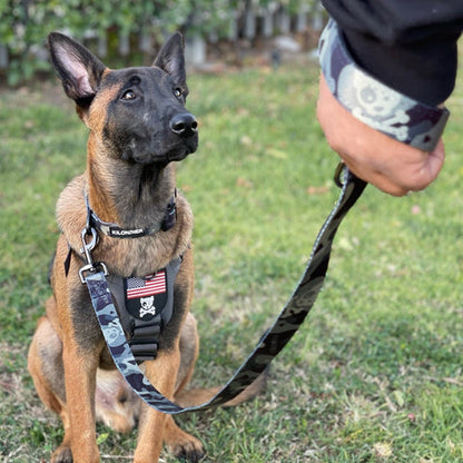 Kiloniner Strike Leash