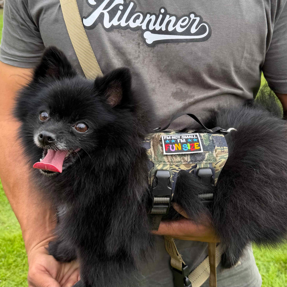 I'm not Small I'm Fun Size Morale Patch