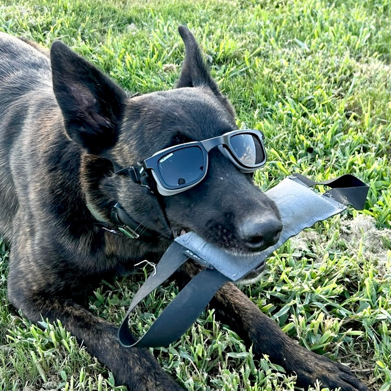 Kiloniner W1 Eye Defender Goggles