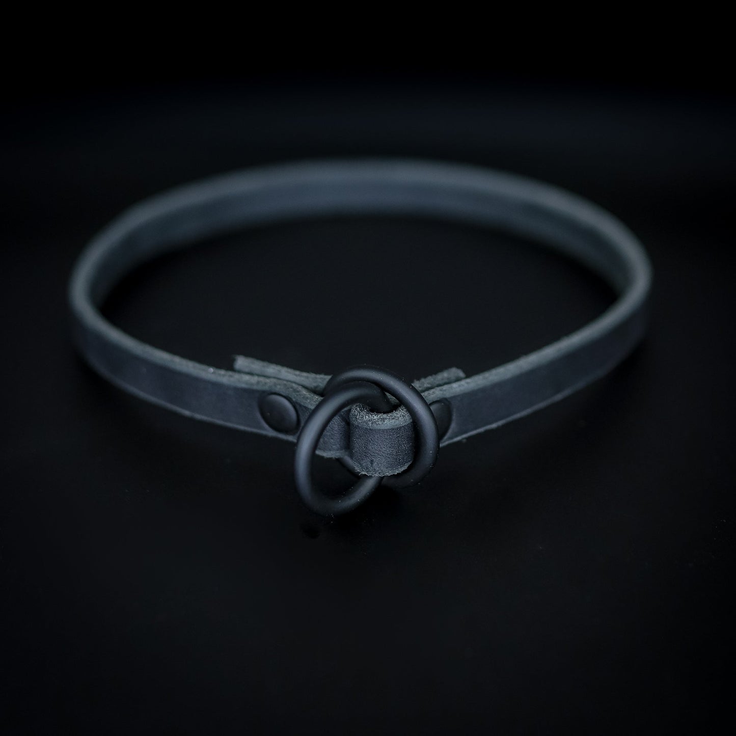 The Golden Ranch Leather Slip Collar