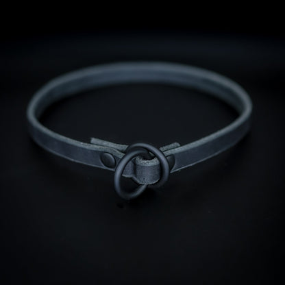 The Golden Ranch Leather Slip Collar