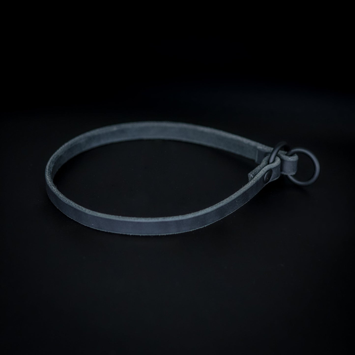 The Golden Ranch Leather Slip Collar