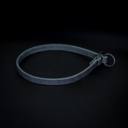 The Golden Ranch Leather Slip Collar