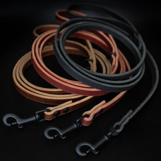 The Golden Ranch The Everyday Leash