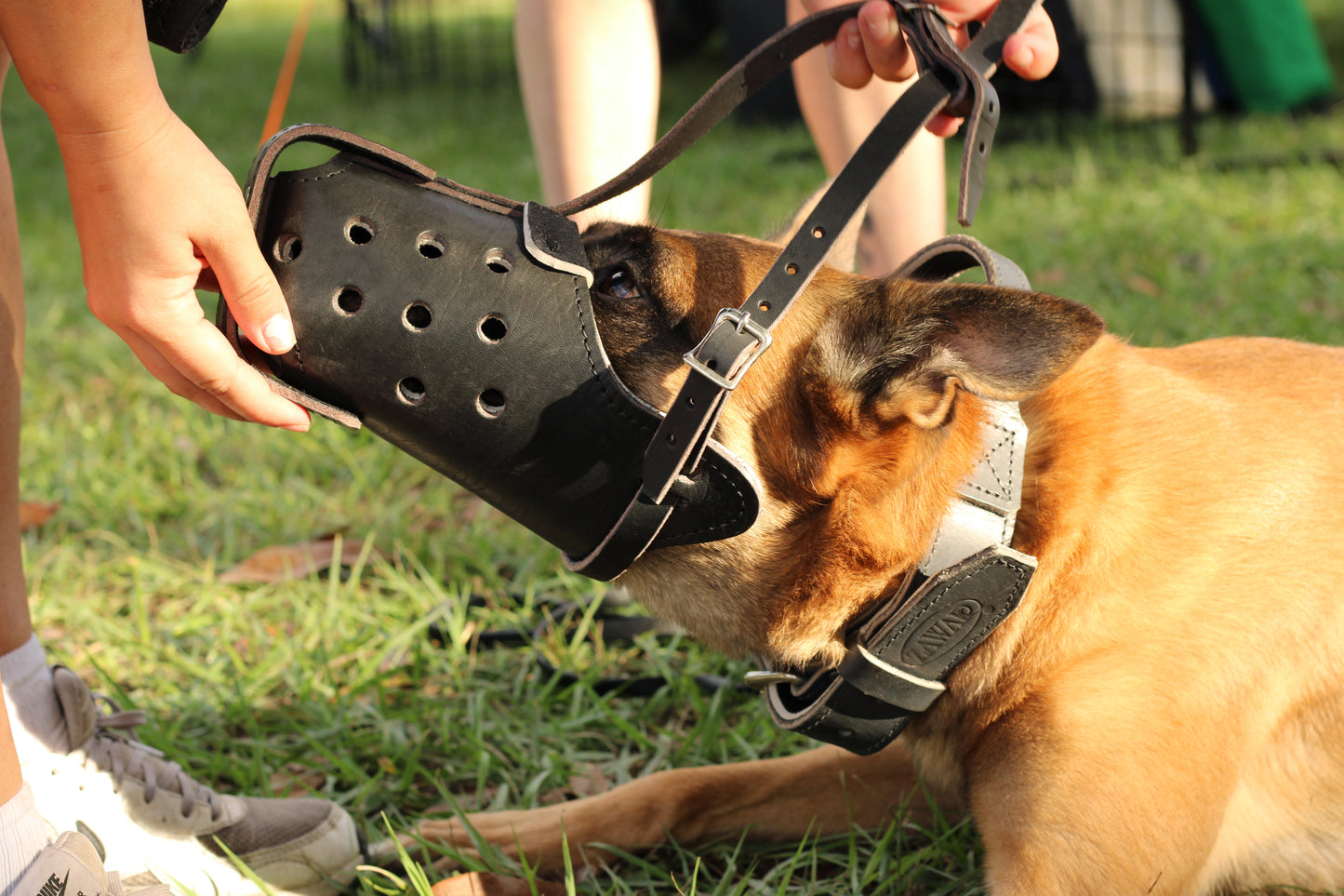 German Shepherd Genuine Leather Immobilization Muzzle