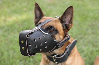 Belgian Malinois Genuine Leather Immobilization Muzzle