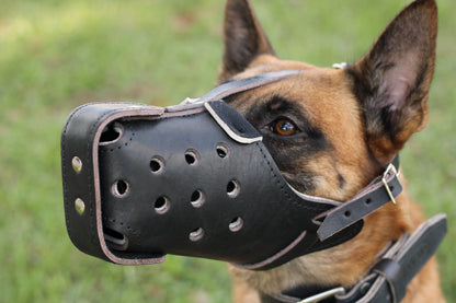 German Shepherd Genuine Leather Immobilization Muzzle