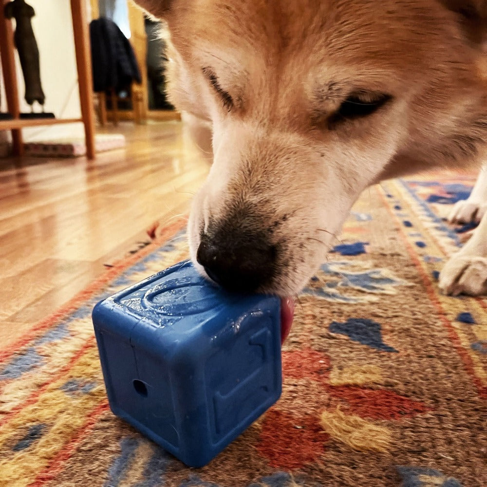 Love Cube eDispenser Durable Rubber Chew Toy & Treat Dispenser