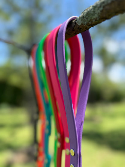 BIOTHANE LEASHES
