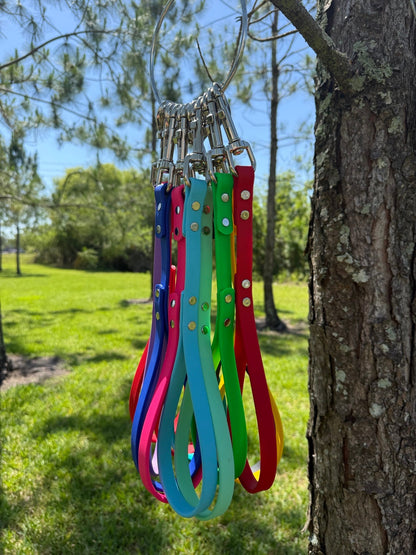 BIOTHANE LEASHES