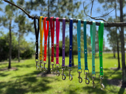 BIOTHANE LEASHES