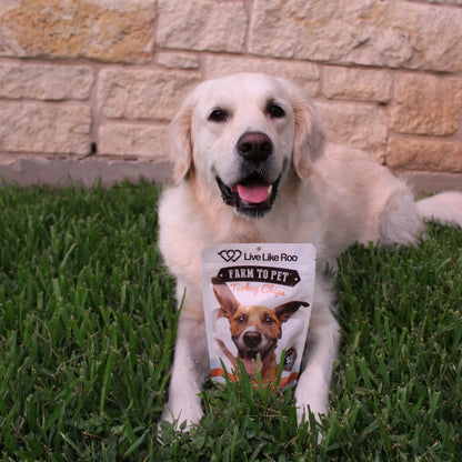 Live Like Roo Turkey Chips for Dogs | Dog Treats That Give Back