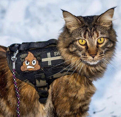 STINKY POOP Morale Patch