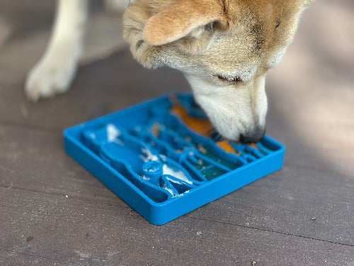 Waiting Dogs Design eTray Enrichment Tray for Dogs