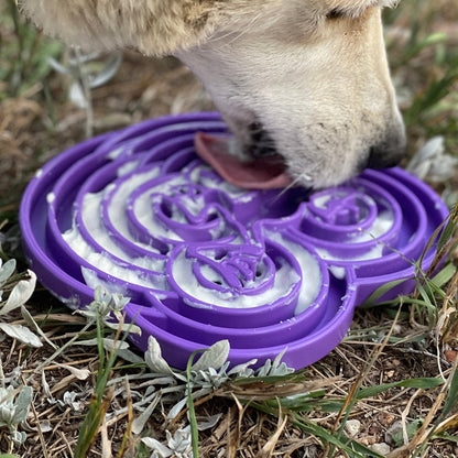 Water Frog Design eTray Enrichment Tray for Dogs