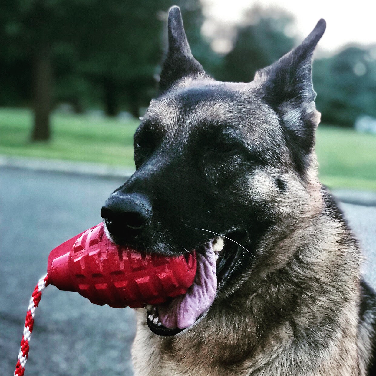 USA-K9 Grenade Durable Rubber Chew Toy, Treat Dispenser, Reward Toy, Tug Toy, and Retrieving Toy