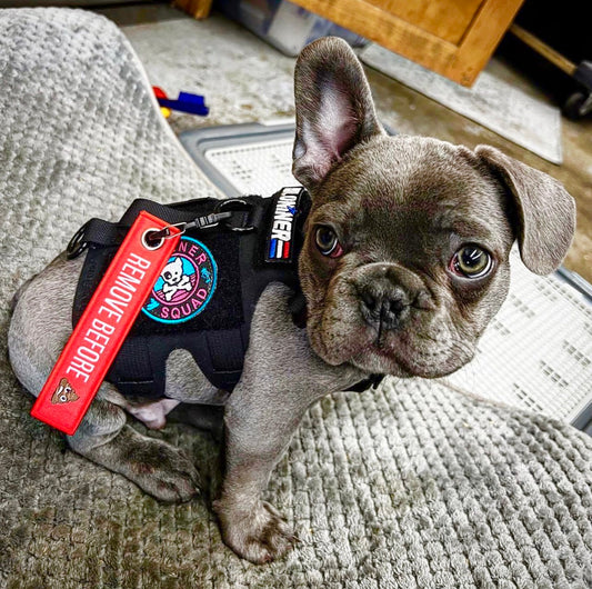 Key Chain Tag - Remove Before Poop