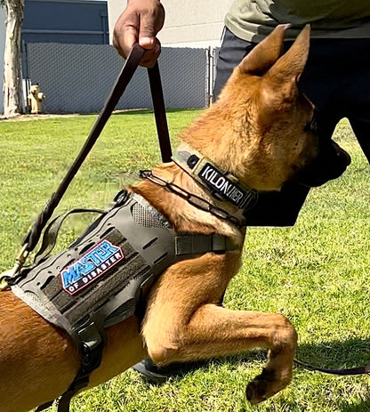 Kiloniner  K9R - M4 Tactical MOLLE Vest