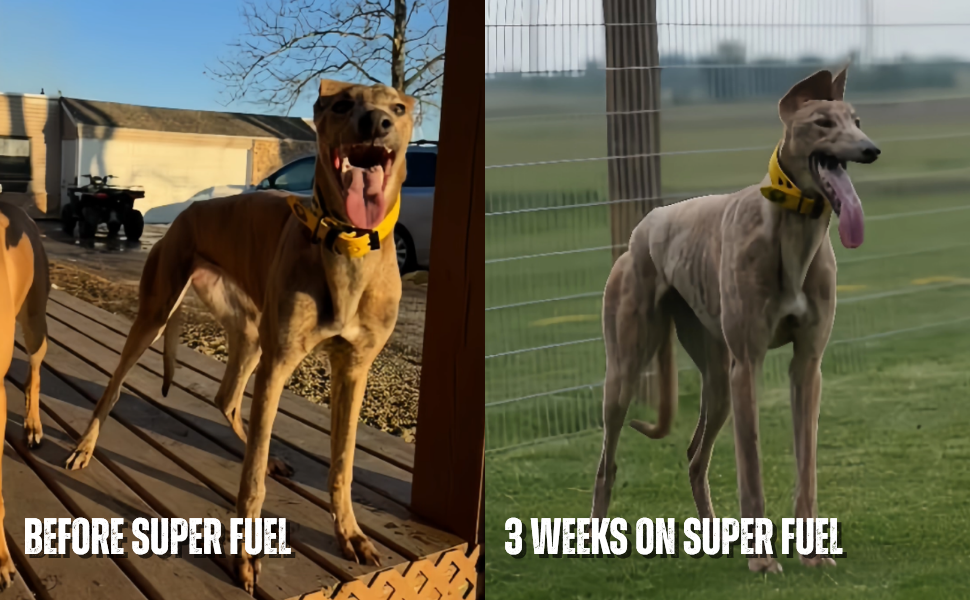 K9 Power - Super Fuel™