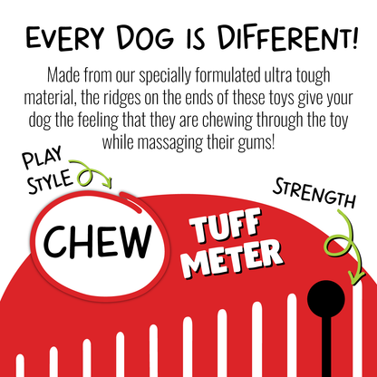 Jolly Pets Jolly Chew Squarble