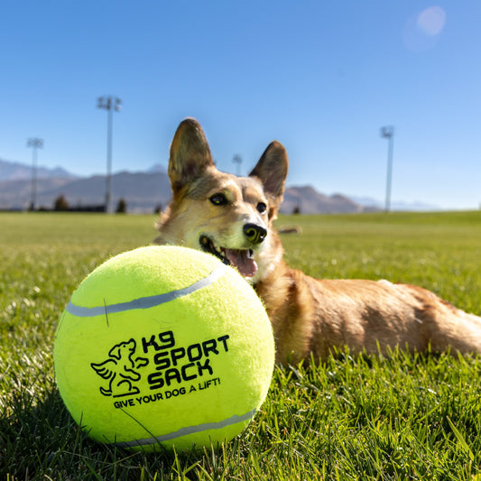 K9 Sport Sack Too Big to Chew Tennis Ball